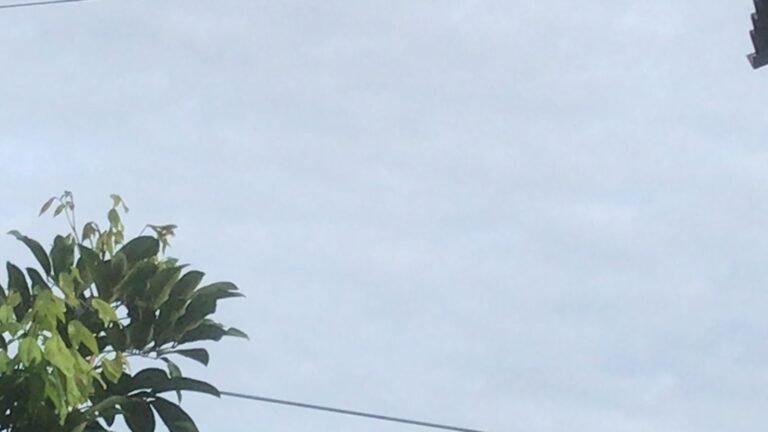 2026-01-07 at 07.41.14