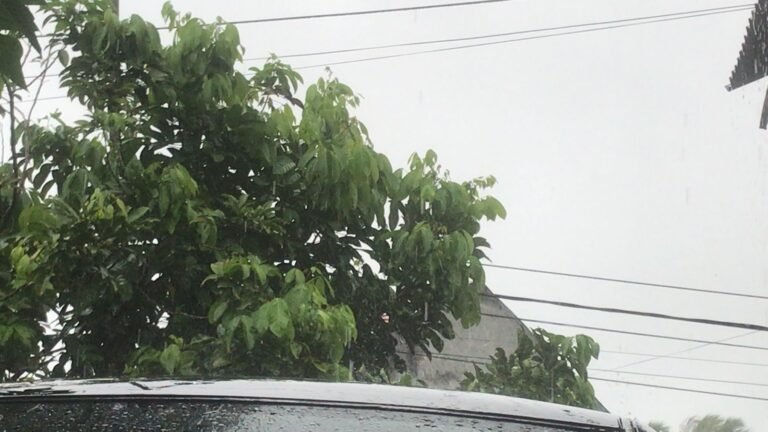 2026-01-17 at 06.54.16